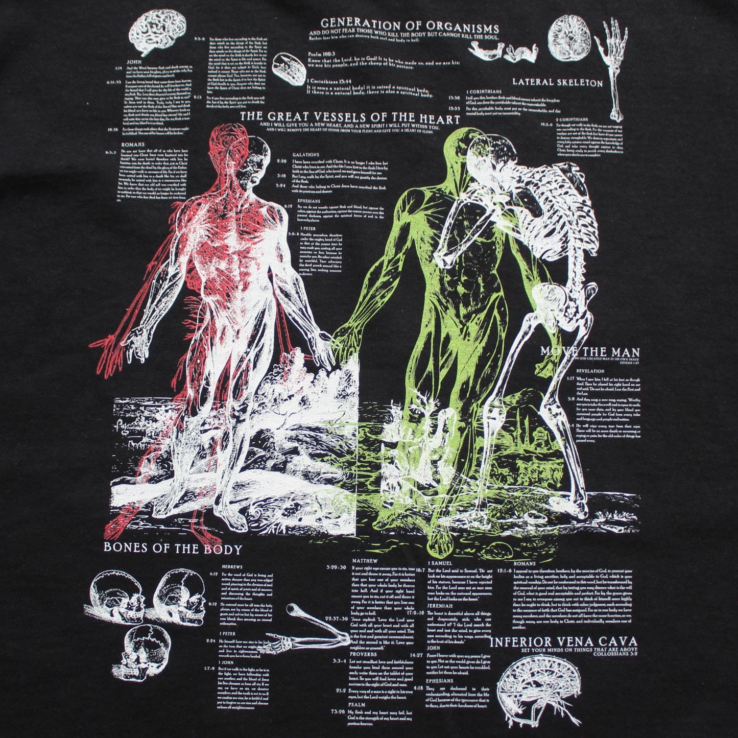 Anatomy Tee - Black