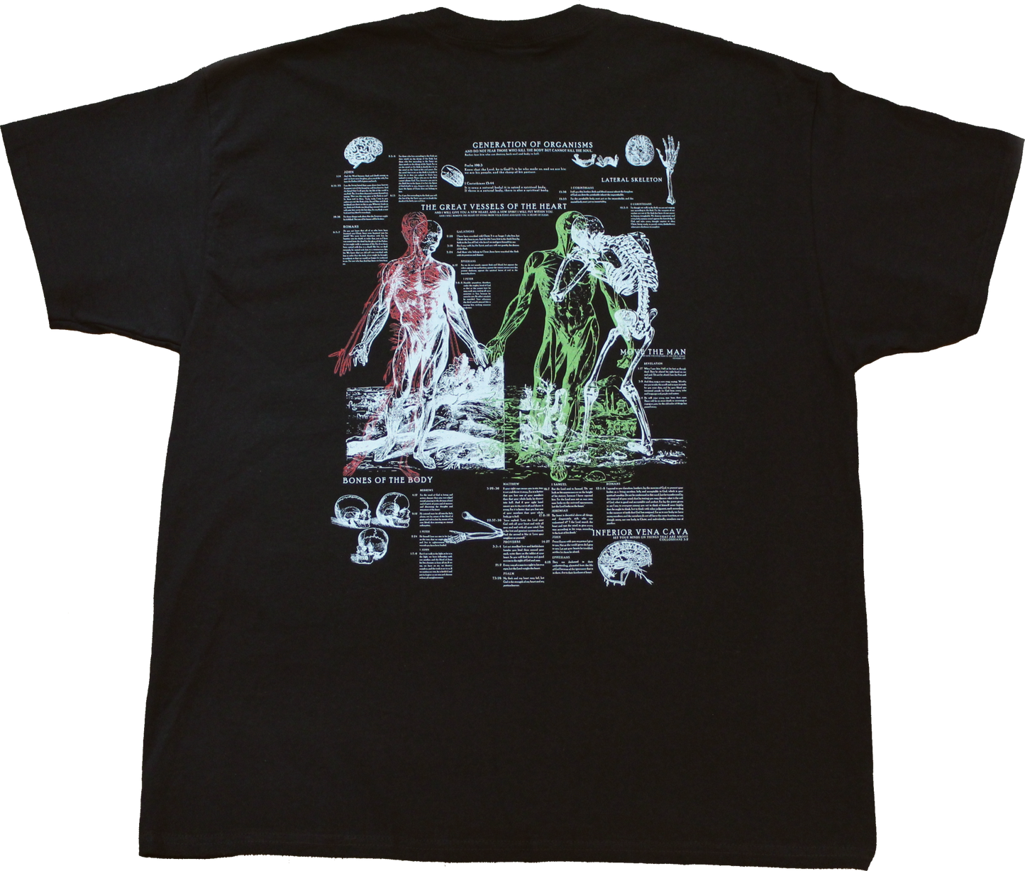 Anatomy Tee - Black