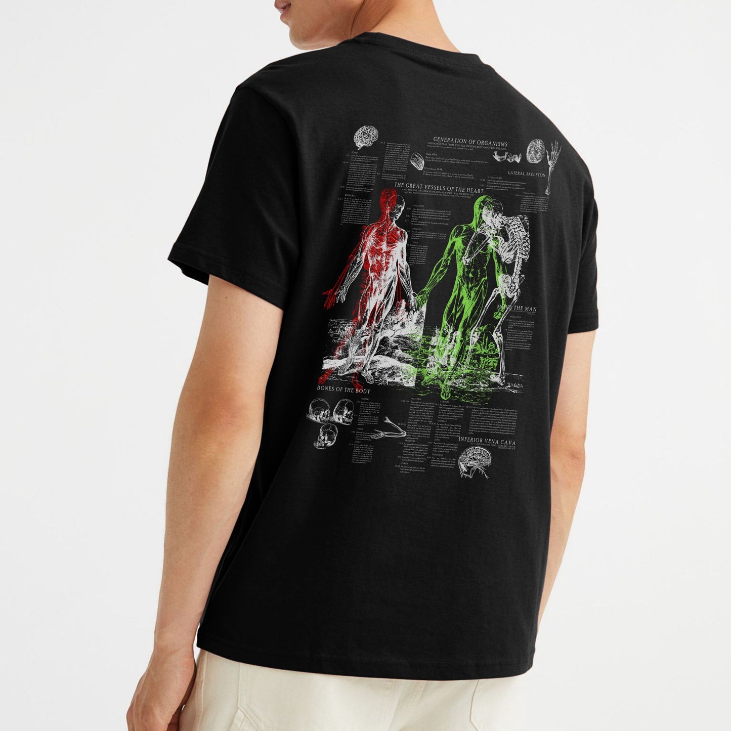 Anatomy Tee - Black