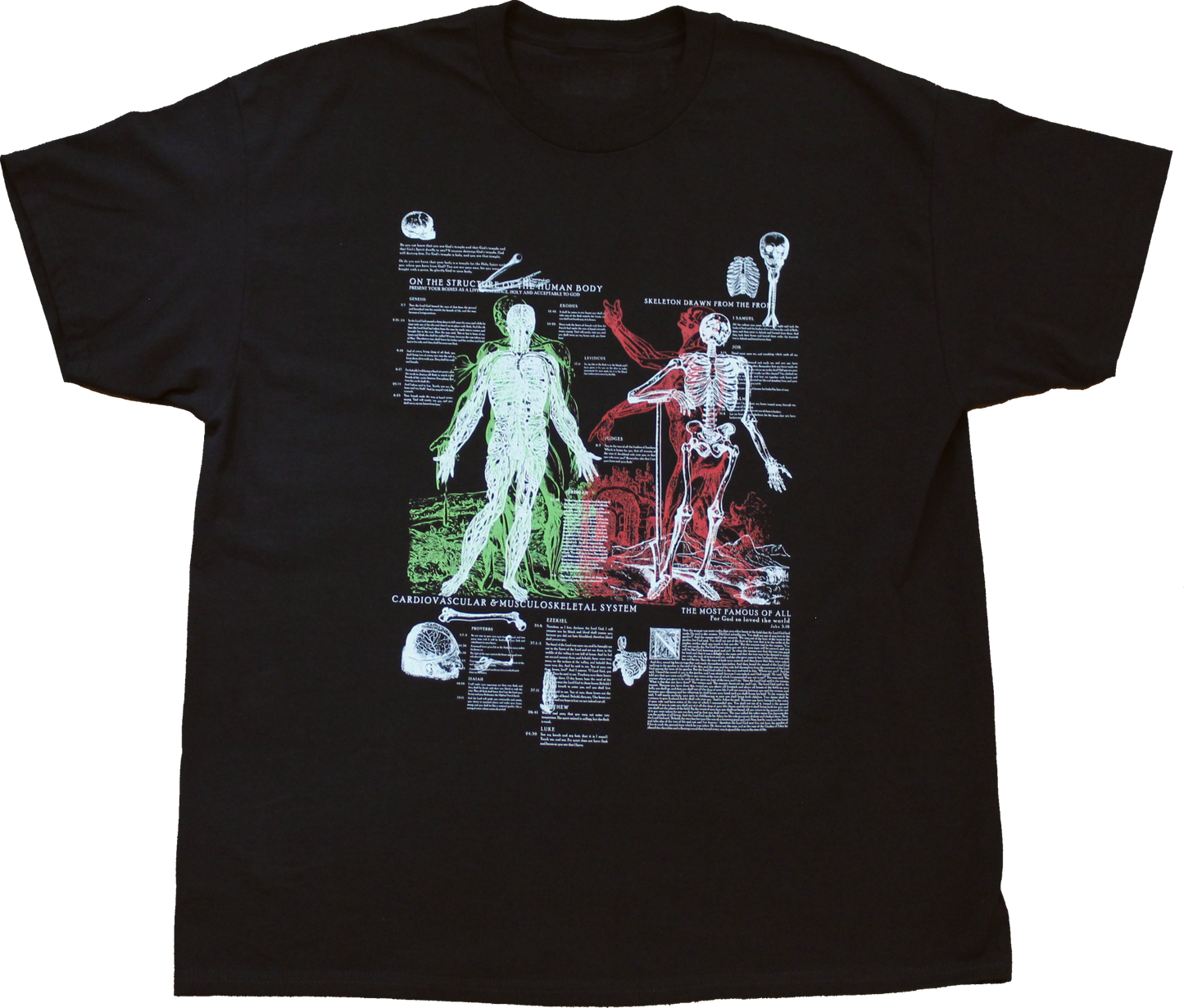 Anatomy Tee - Black