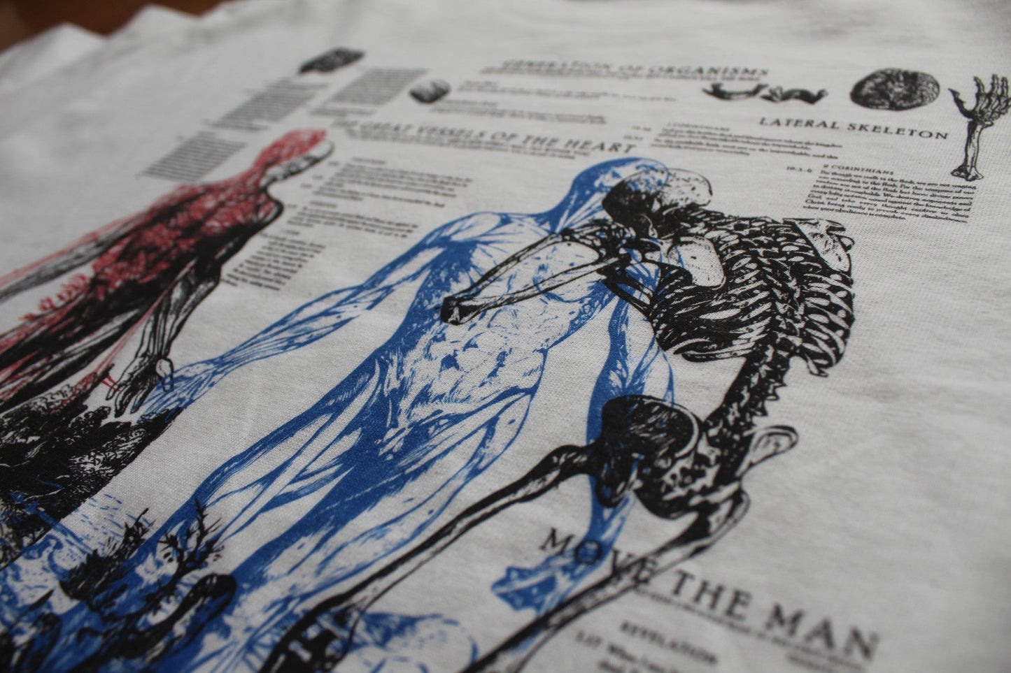 Anatomy Tee - White