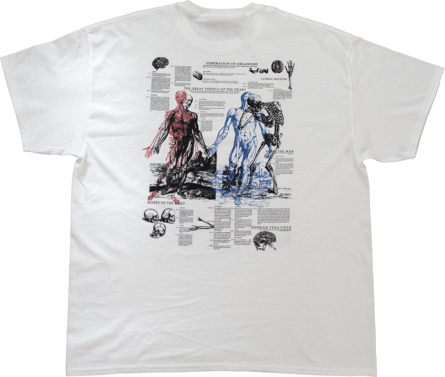 Anatomy Tee - White