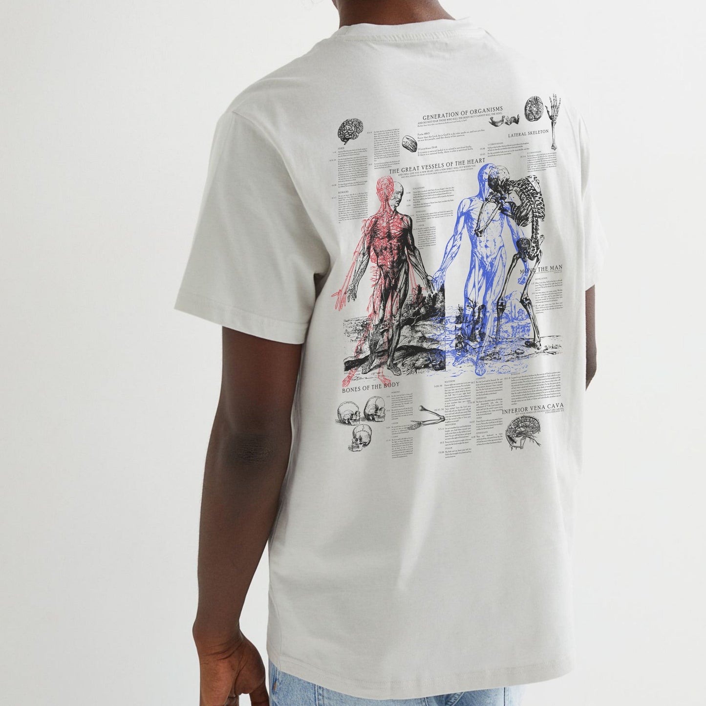 Anatomy Tee - White