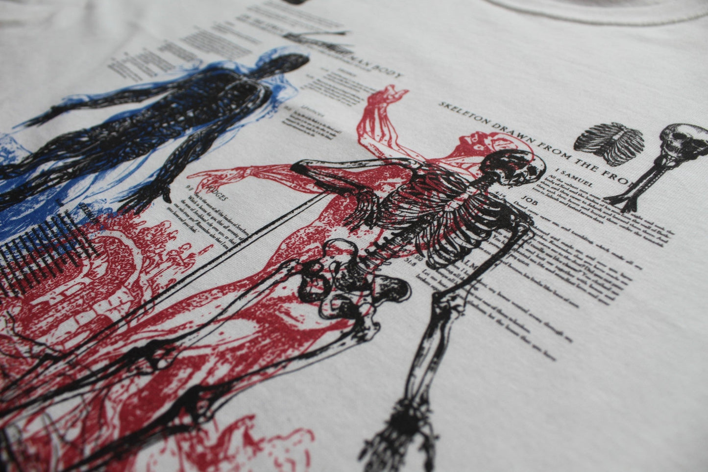 Anatomy Tee - White