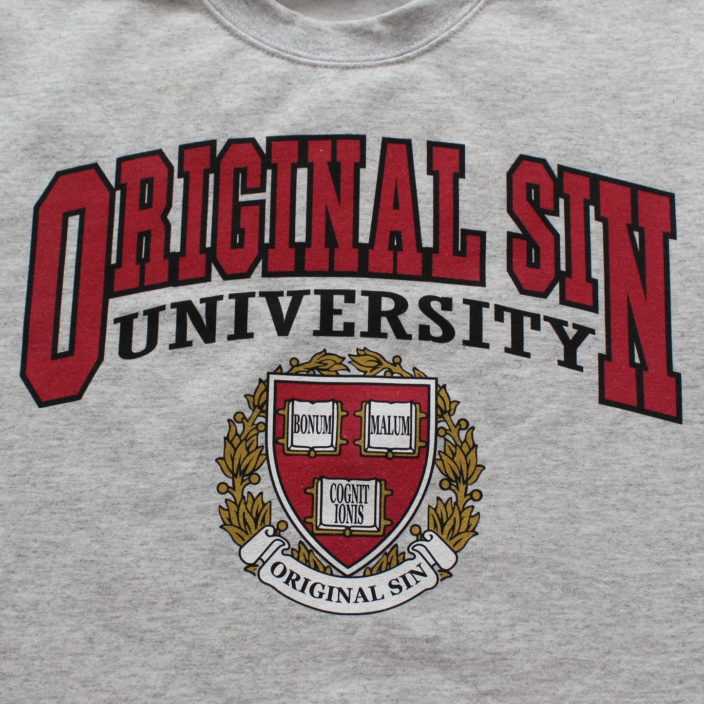 Beginning of Wisdom Crewneck Sweatshirt - Oxford Grey