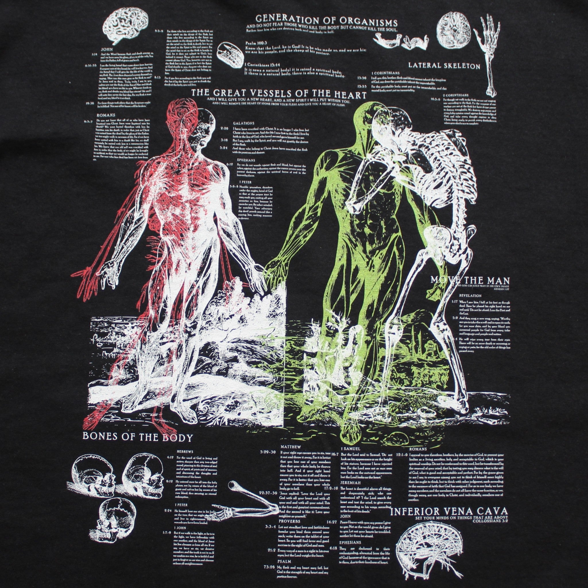 Anatomy Tee - Black | Original Sin USA