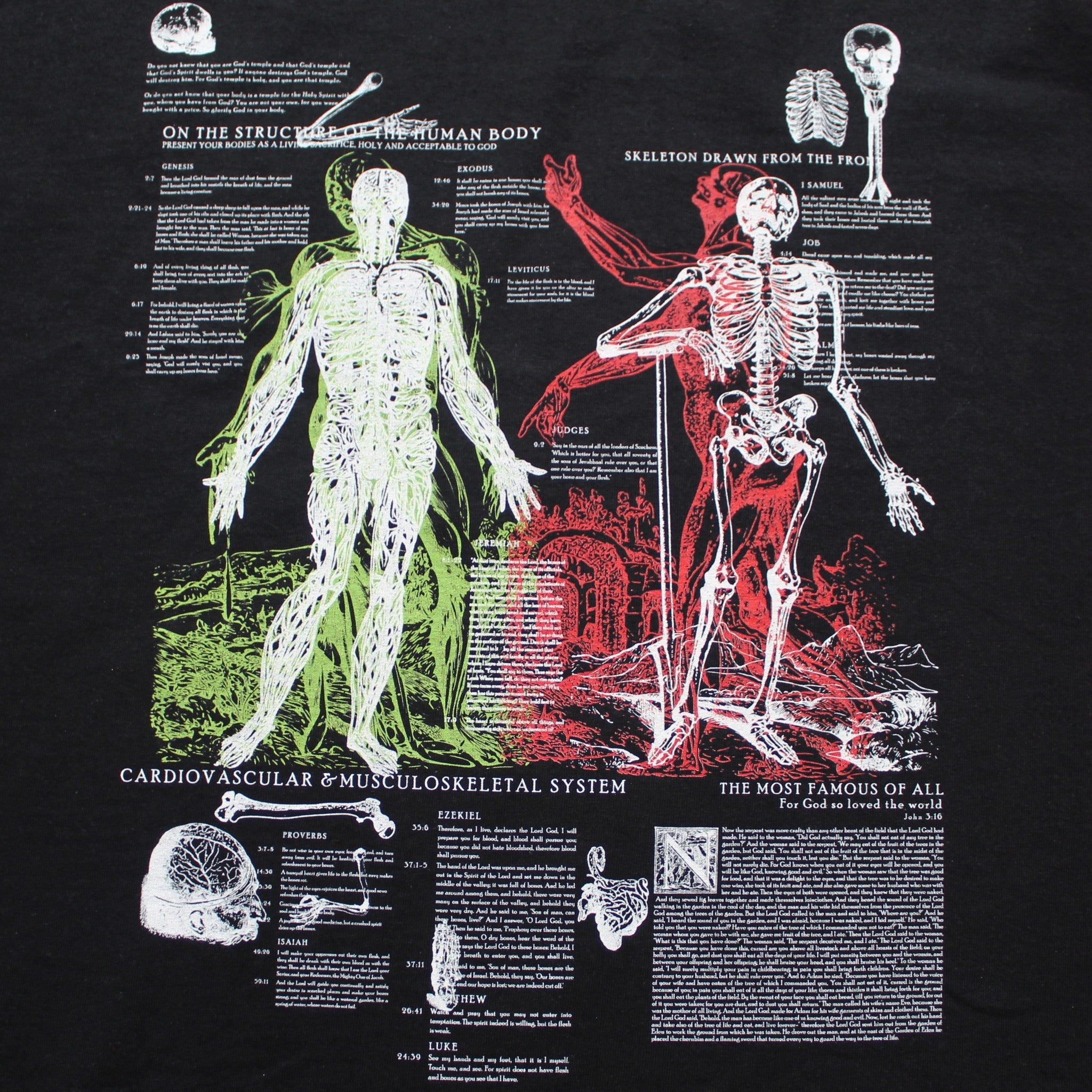 Anatomy Tee - Black