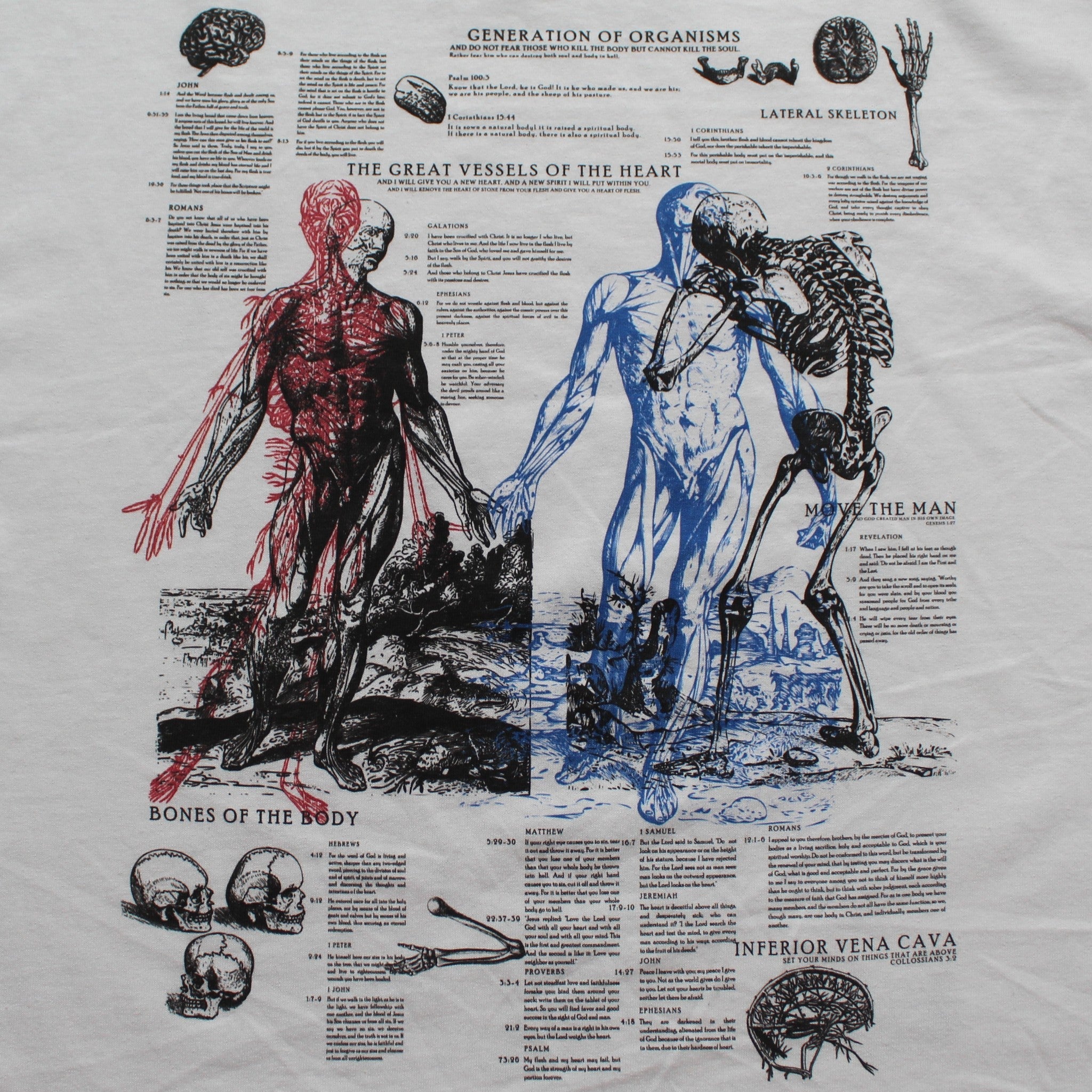 Anatomy Tee - White