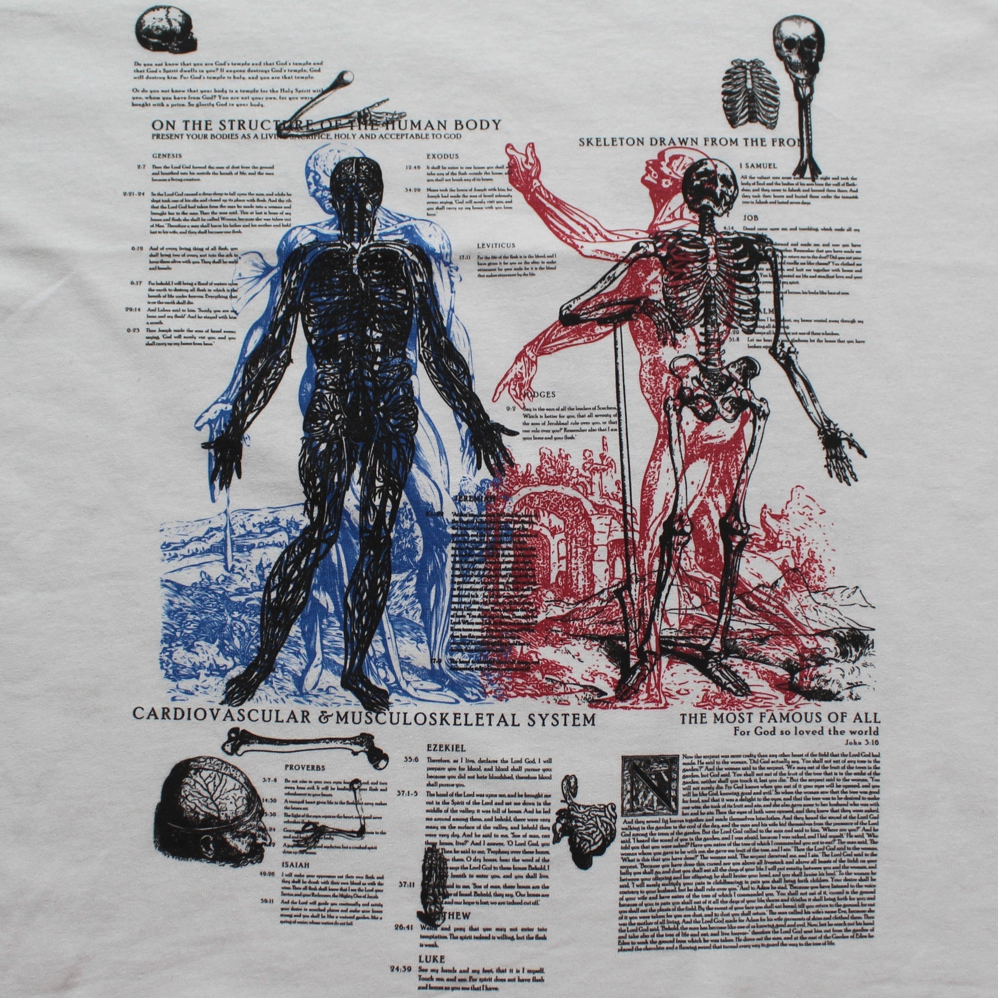 Anatomy Tee - White